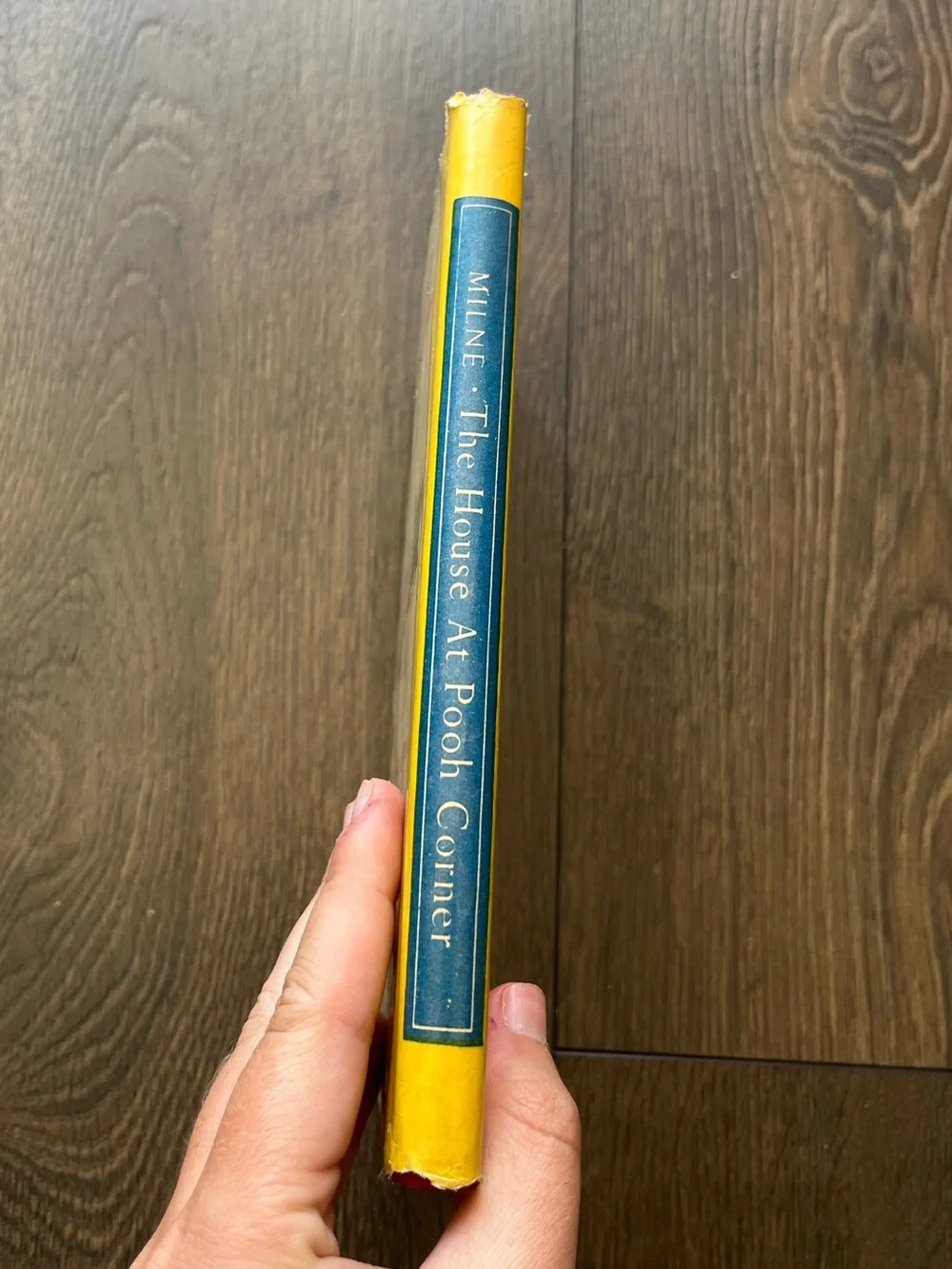 Winnie-the-Pooh generously used